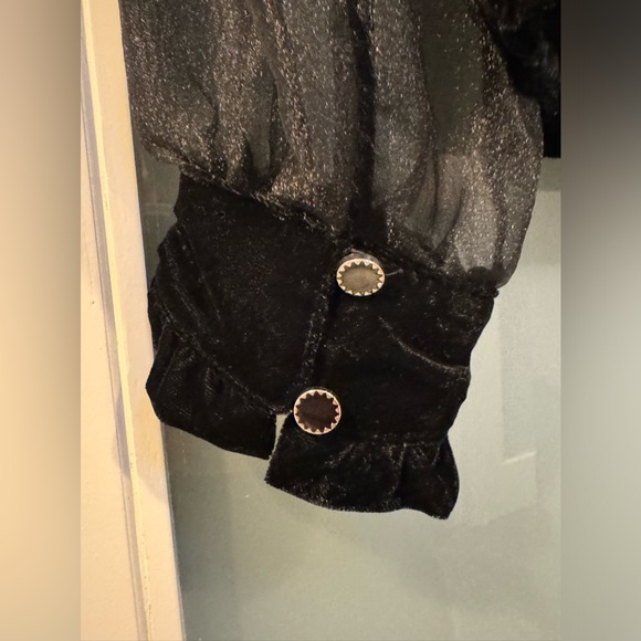 NWOT Zara Velvet blouse with Sheer Puffy Sleeves. Color Black / Size Small - Picture 5 of 10